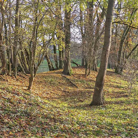 Ferienhaus Hohen Demzin *