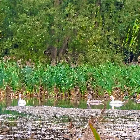 Casa de Férias Ferienhaus Hohen Demzin Hohen Demzin