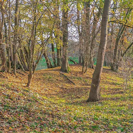 Ferienhaus Hohen Demzin Casa de Férias